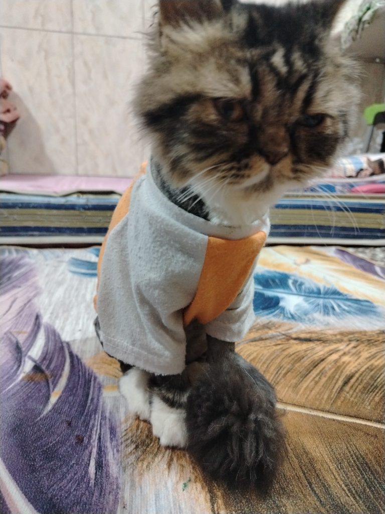 17441368596837437357139024926975