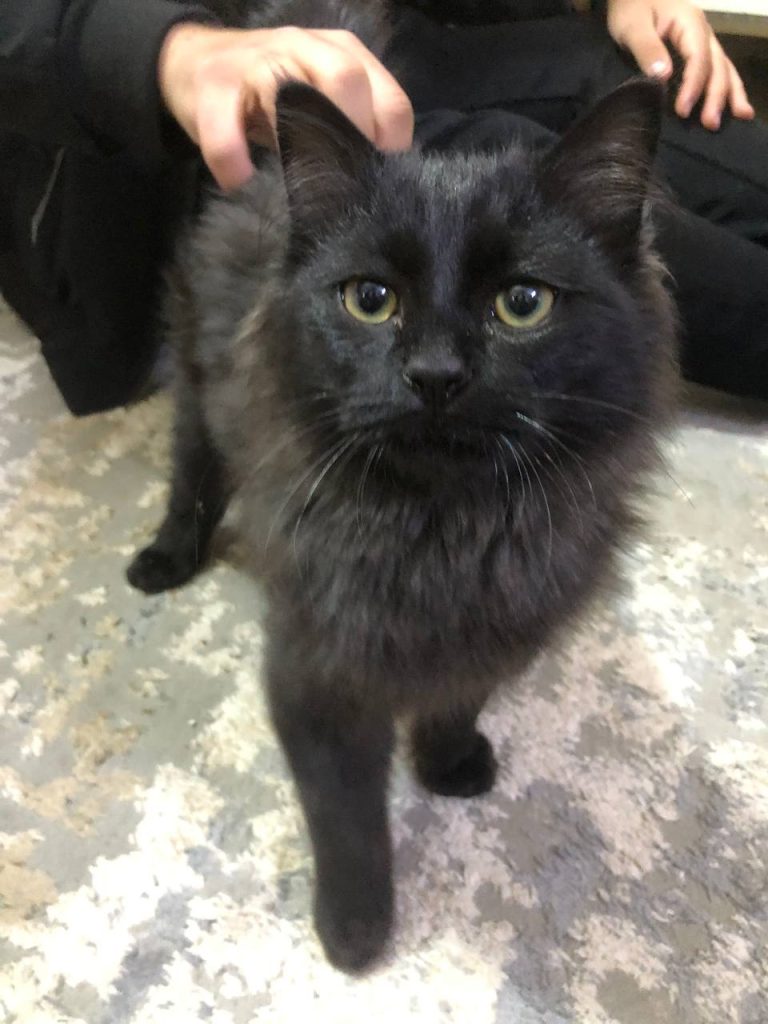 4437126d-6ecf-43e5-8412-a81a1d8cff69