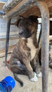 8fb44807-029c-415c-9bab-bc87f7626786