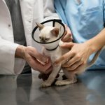 عمليات جراحية