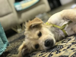 f95b76c7-bbcf-4d8e-9cae-e820f90404c7