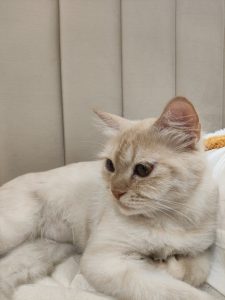 img-20250901-144015-2