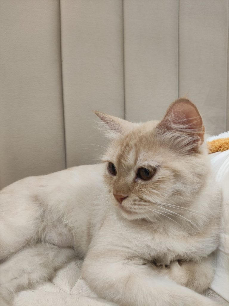 img-20250901-144015-2