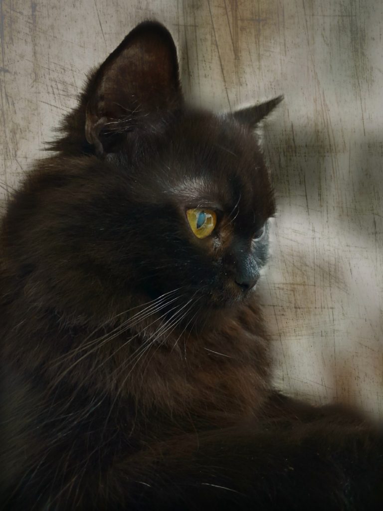 picsart-24-12-07-19-55-28-478