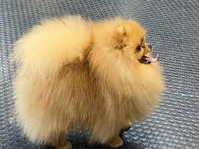 att.zddvpddjm1k1qzzohmyaoq68ybzvlitmdtfp6tmmdjo