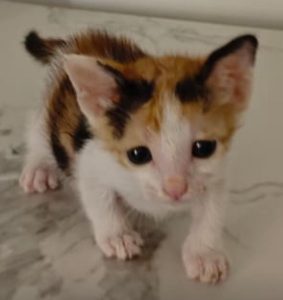 b2f4b324-2c00-481d-acd5-605f18c0aa79