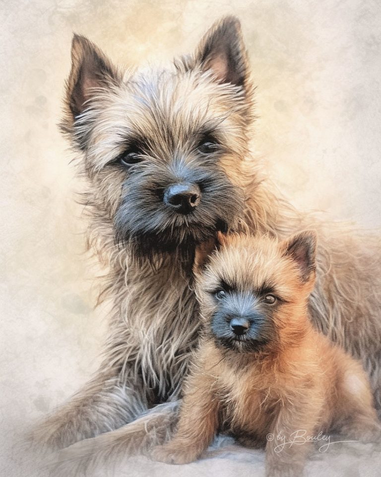 مسودة تلقائية