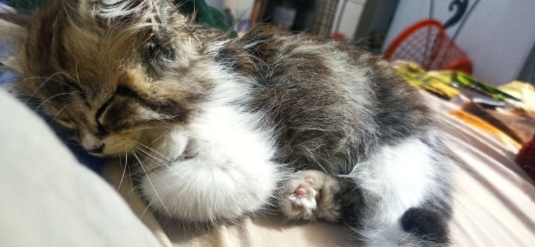 inbound1040610021153756185