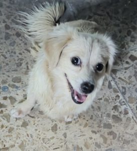 inbound169503633613090449