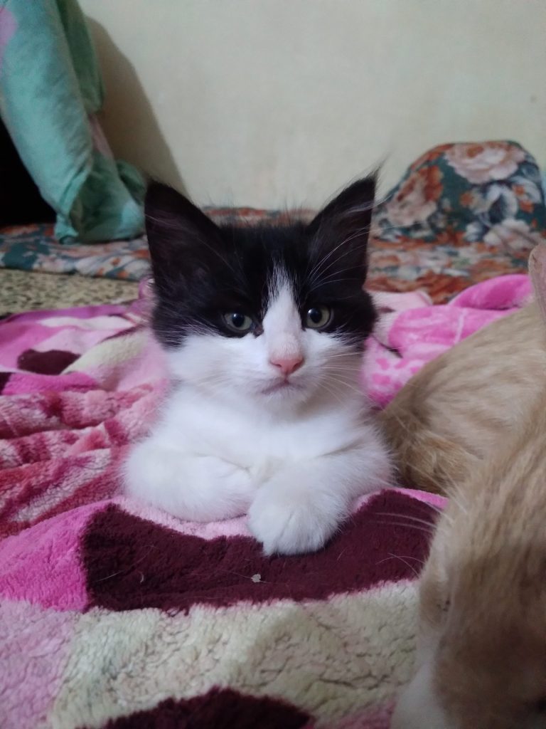 inbound1975538301539846385