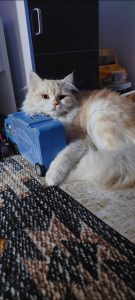 inbound3944711112632898842