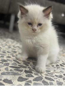 inbound552978064016930669