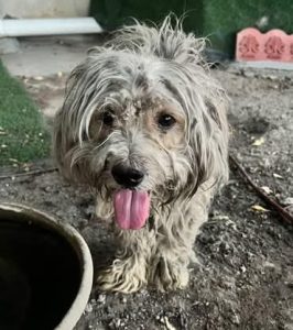 inbound5669417769608318164