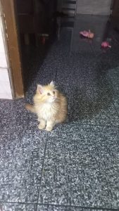 inbound6522246029671256831