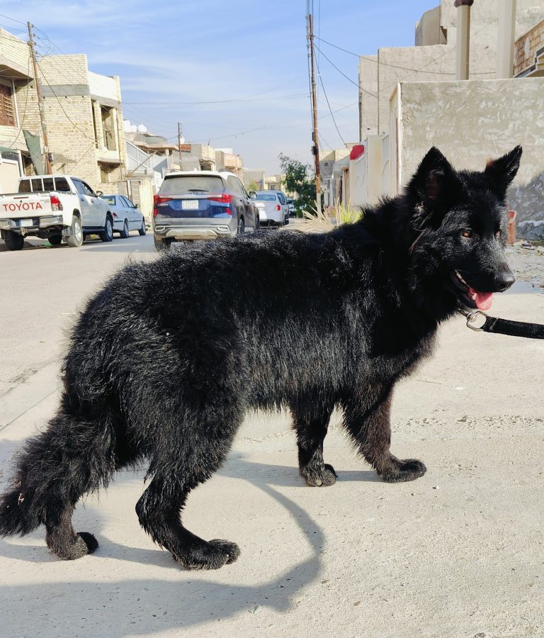 inbound6609890701430372136