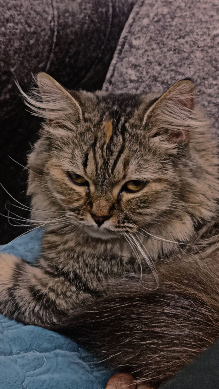 inbound7759049175262254341