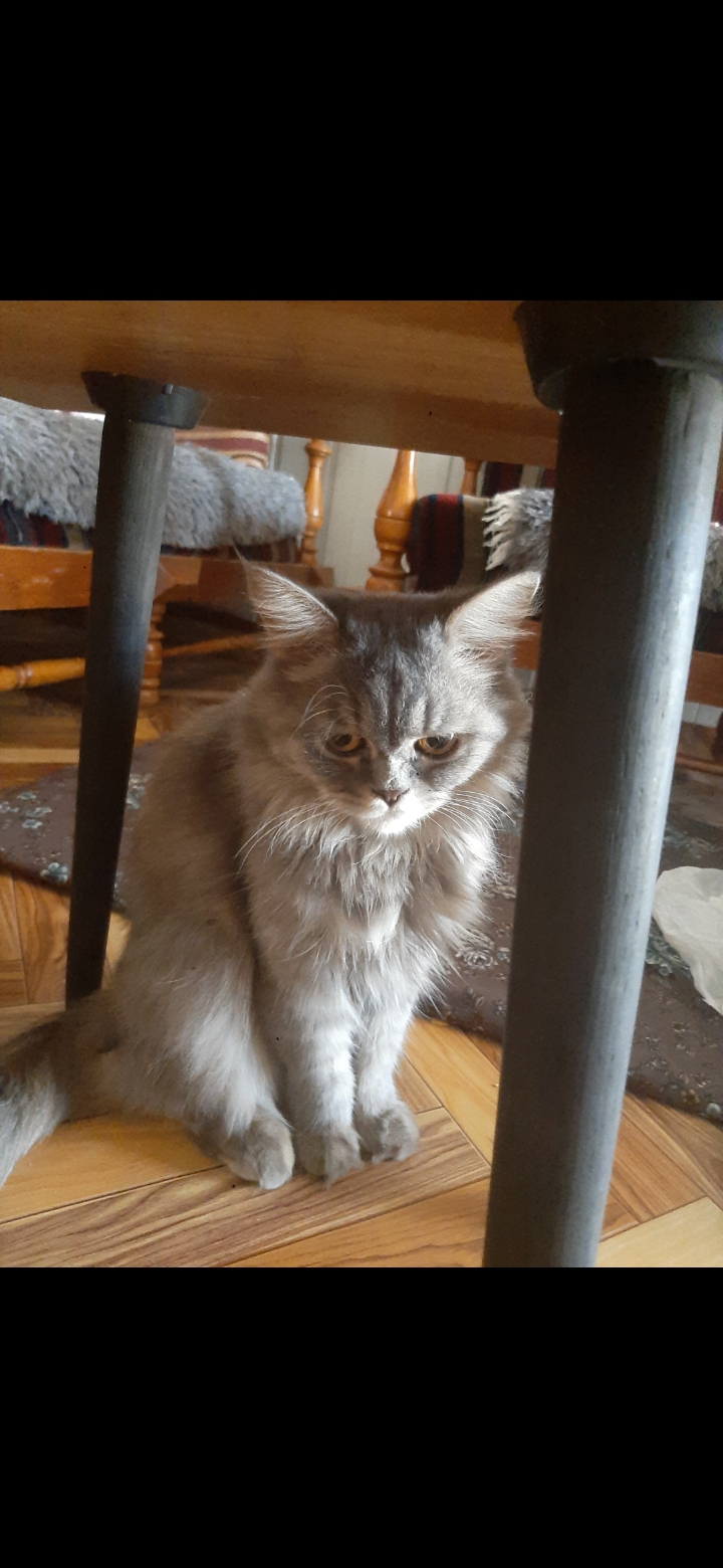 inbound776393361159496394