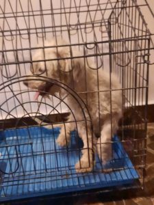 inbound7996369668188910885