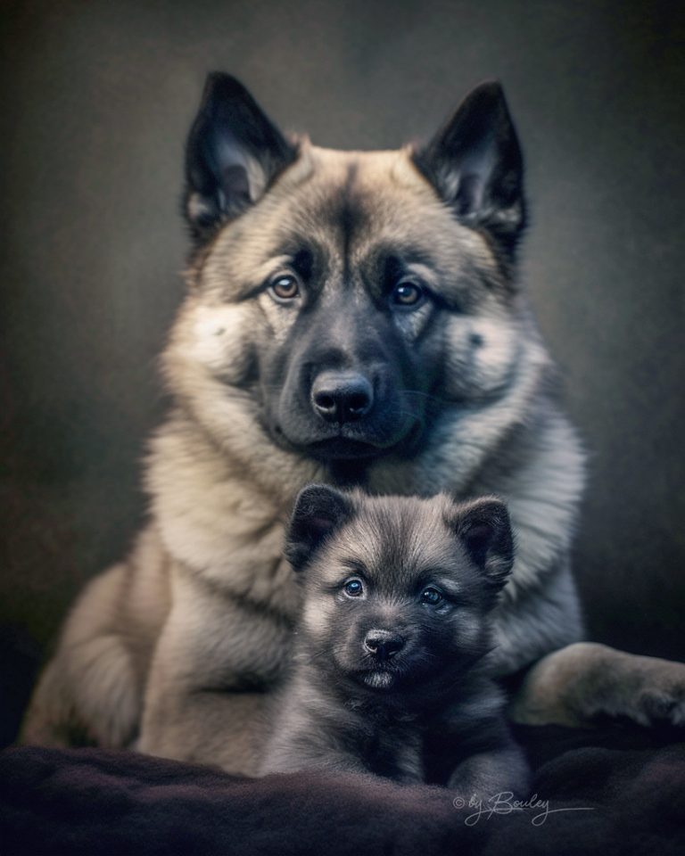 مسودة تلقائية