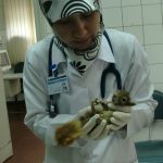 هل تشكل تربية الحيوان خطراً على صحتنا؟