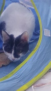 ٢٠٢٥٠١٢١-٢٢٠٣٢٥